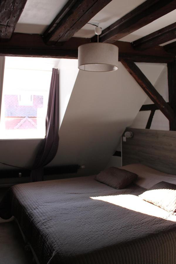 Appartement Les Violettes Colmar Buitenkant foto