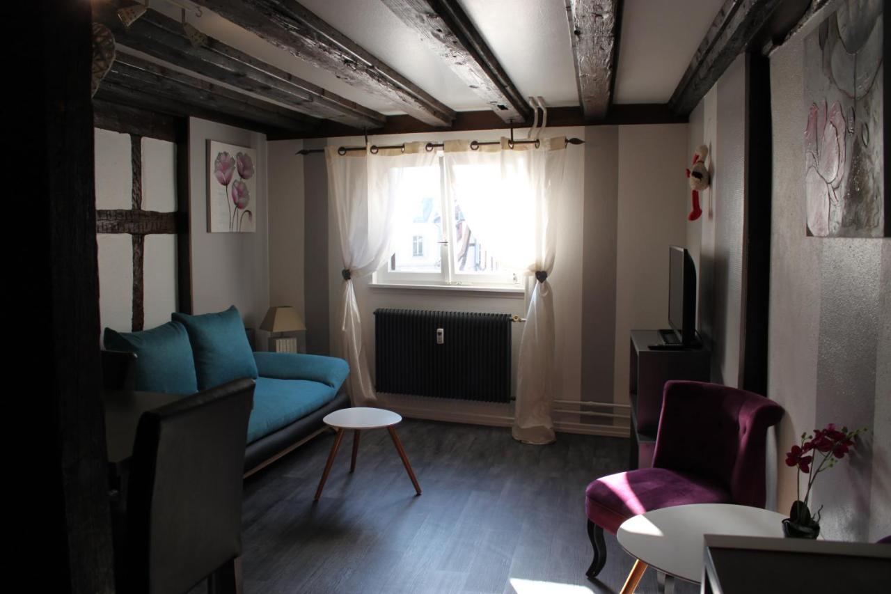 Appartement Les Violettes Colmar Buitenkant foto