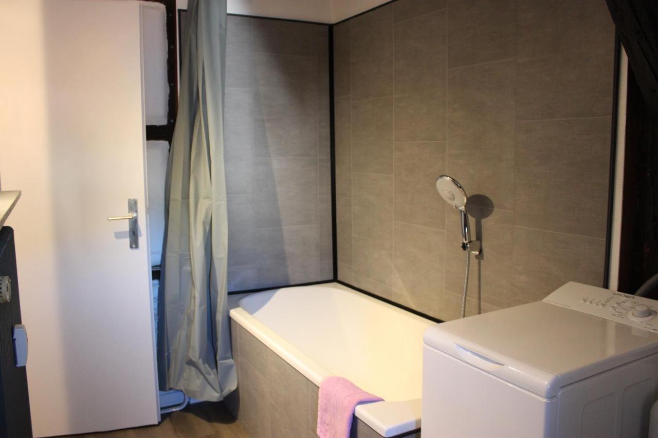 Appartement Les Violettes Colmar Buitenkant foto