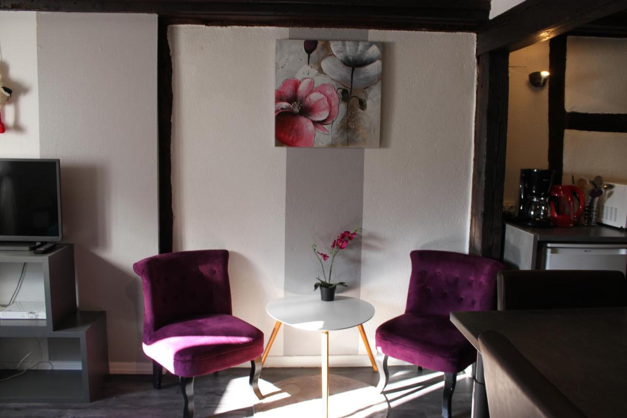 Appartement Les Violettes Colmar Buitenkant foto